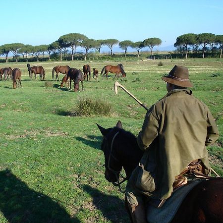 Agriturismo Biologico Sant'Egle San Quirico  Bagian luar foto